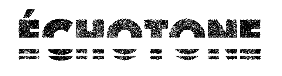 ECHOTONE, Espace d'art géré par des artistes, dédié à l'expérimentation et la recherche artistique
